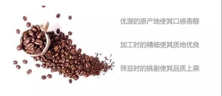 配2.jpg